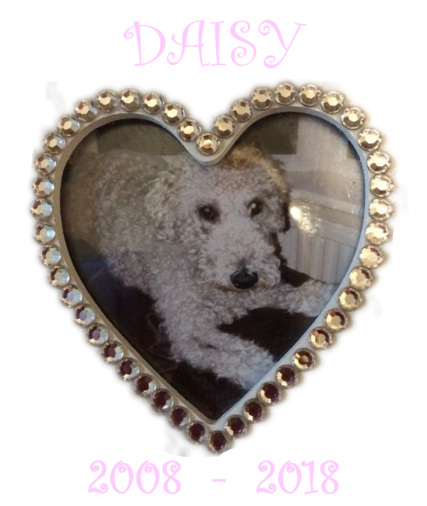 Daisy